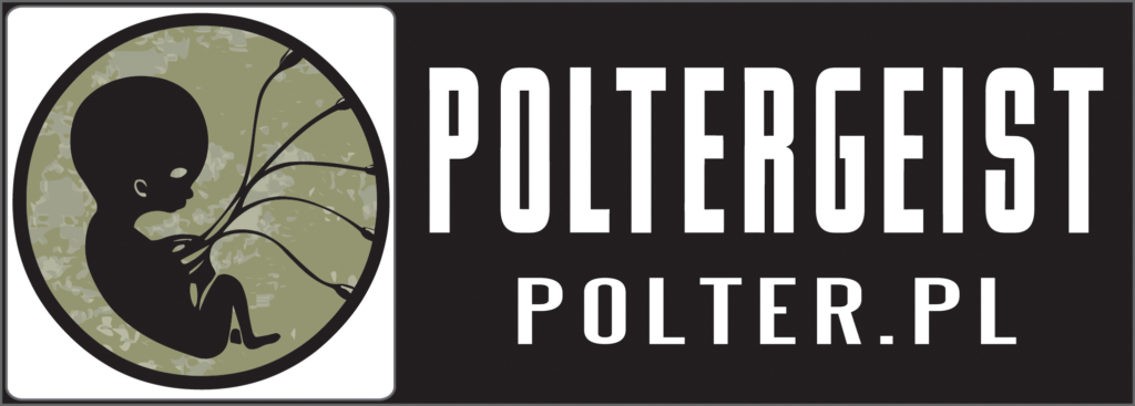 Logo serwisu Poltergeist.
